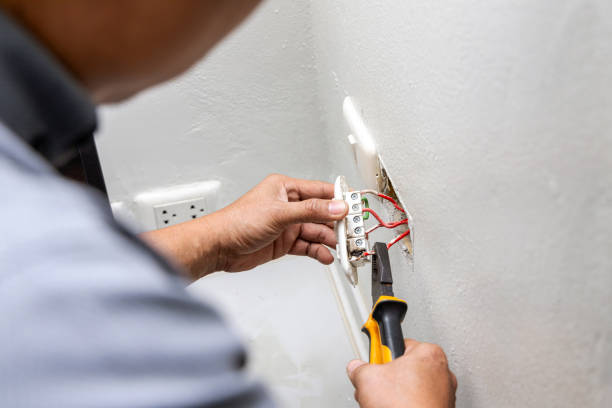 Best Home Electrical Repair  in Ladysmith, WI